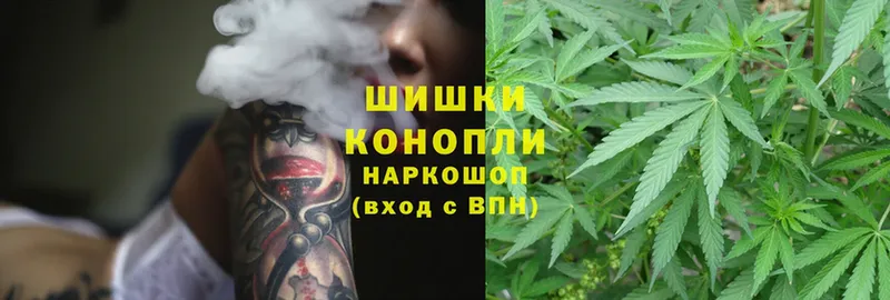 Конопля Ganja  купить наркотики цена  Новосибирск 